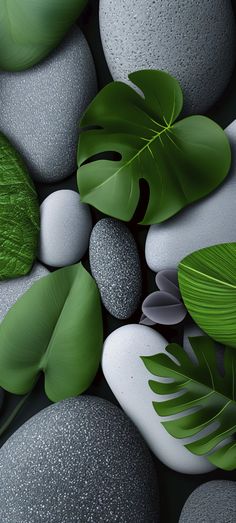 some rocks and green leaves are on the ground