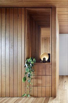 a room with wood paneling and a plant in the corner