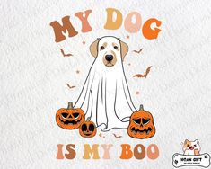 a white dog with two jack o lantern pumpkins on it's chest and the words, my dog is my boo