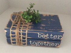 two blue books tied together with twine and some green plants sitting on top of them