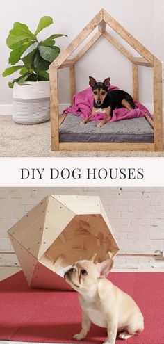 a small dog sitting on top of a bed next to a wooden structure with the words diy dog houses