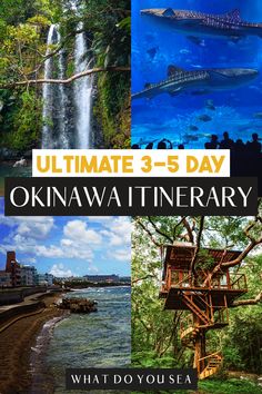 the ultimate guide to visiting okinawai itinerary, what do you see?