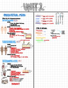 an info sheet shows the different types of medical devices that people use in their lives