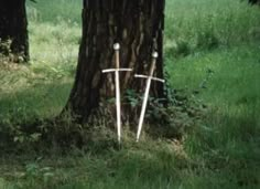 two swords stuck in the ground near a tree