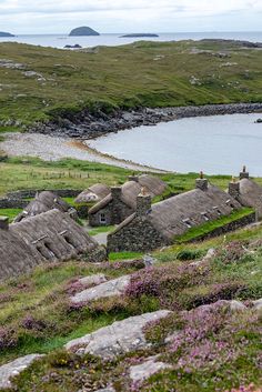 an irish village with thatched roofs and flowers in the foreground, overlooking a body of water