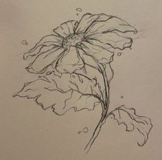 a drawing of a flower with drops of water on it