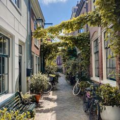 an alley way with several bikes parked on the side and plants growing along the sides