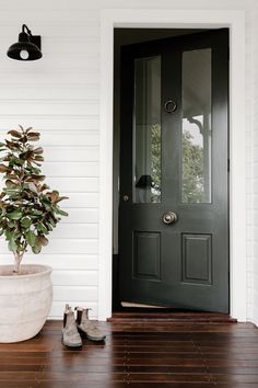 there is a potted plant on the front porch next to a door and shoes