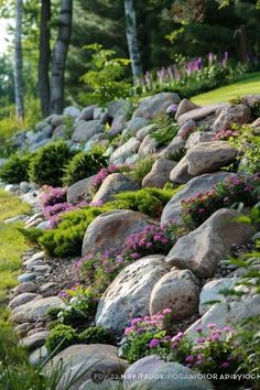 some rocks and flowers in the grass