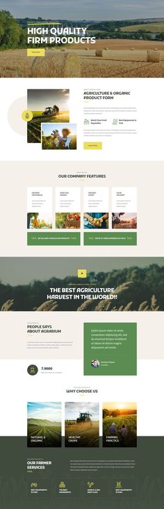 Ranked Brain Agriculture Company Websites WordPress Colorful Website Design, Wordpress Landing Page, Colorful Website, Creative Design Agency, Gui Design, Web Design Projects, Small Business Website