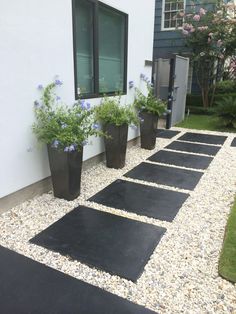 some plants are in black pots on the side of a white wall and gravel path