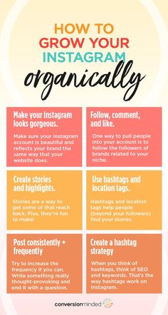 how to grow your instagram organicly infographical poster with text overlay