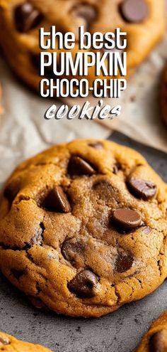 the best pumpkin chocolate chip cookies on a baking sheet with text overlay that reads, the best pumpkin chocolate chip cookies