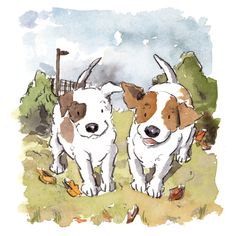 two brown and white dogs standing next to each other on top of a grass covered field