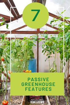 a greenhouse with tomatoes growing in it and the words 7 passive greenhouse features on top