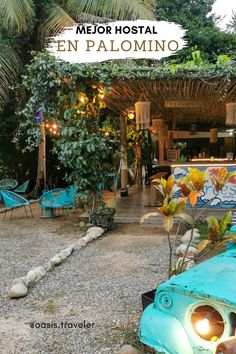 Hostel
hostelworld
Palomino la guajira
Palomino Colombia
Budget hotels
palomino
Colombia aesthetic
travel inspo Travel Vibes, Travel Inspiration, Oasis, Travel