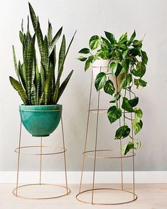 an article in the magazine shows two plants on stands, one is green and the other is pink