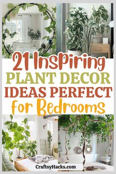 some plants are in the living room with text overlay that reads, 21 amazing plant decor ideas perfect for bedroom