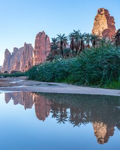 the mountains are reflected in the water near palm trees and grass on either side of the river