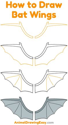 how to draw bat wings for kids