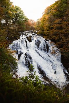 a large waterfall in the middle of a forest