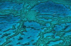 an aerial view of the blue water and coral reef