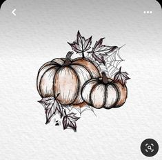 a drawing of pumpkins with leaves on them