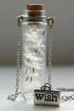 a dandelion seed in a glass bottle with a wish charm on a chain