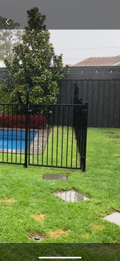 a dog is standing in the grass near a fence with a swimming pool behind it