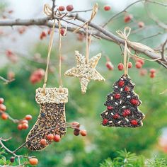 christmas decorations hanging from a tree branch