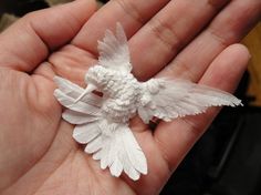 a small white bird sitting on someone's hand