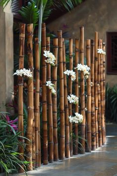 white flowers are growing on the side of a bamboo fence