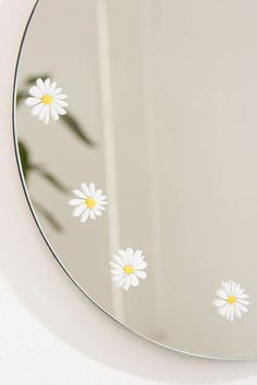 a mirror with white daisies on it in front of a wall mounted planter