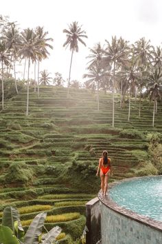 CRETYA UBUD -- The Ultimate Ubud Itinerary: 3 Days, including the Monkey Forest, Tegalalang Rice Fields, Flower Bath, waterfalls, temples, and more! #ubud #ubudbali #baliitinerary Cretya Ubud, Ubud Palace, Bali Girls, Ubud Indonesia, Water Temple, Bali Itinerary, Bali Guide