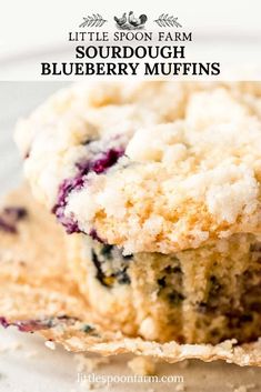 two blueberry muffins stacked on top of each other