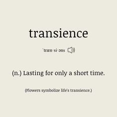 the words transence are written in different font styles and colors, along with an image of