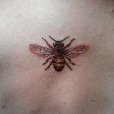 a close up of a bee on the chest