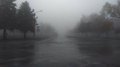 an empty street in the middle of a foggy day with trees on either side