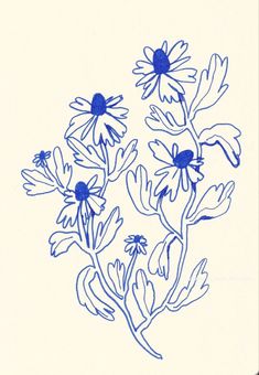 blue ink drawing of daisies on white paper