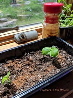 a container filled with dirt and plants next to a window