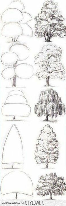 the different types of trees and their shapes are shown in this drawing lesson for kids