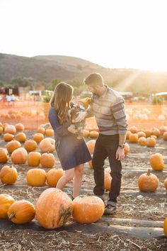 a man and woman standing next to each other in a field full of pumpkins