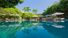 an outdoor swimming pool with umbrellas and lounge chairs in the shade, surrounded by lush green trees