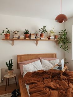 a bed topped with lots of plants next to a wooden shelf filled with potted plants