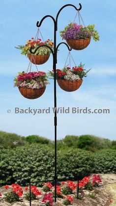 three hanging baskets with flowers in them on a pole