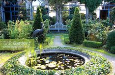 a pond in the middle of a lush green garden