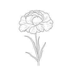 the outline of a flower on a white background