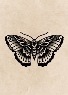 a black and white drawing of a butterfly on a beige background, with the wings spread out