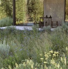 an outdoor dining area is surrounded by tall grass and wildflowers