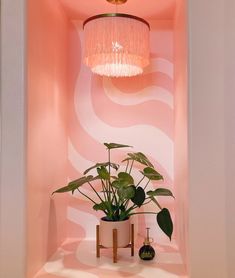 a potted plant sitting on top of a wooden table next to a light fixture